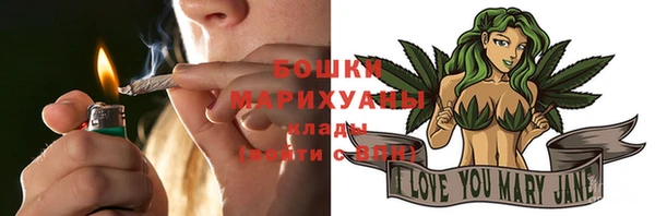 молекула духа Каменка