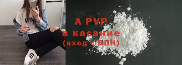 PSILOCYBIN Зеленодольск