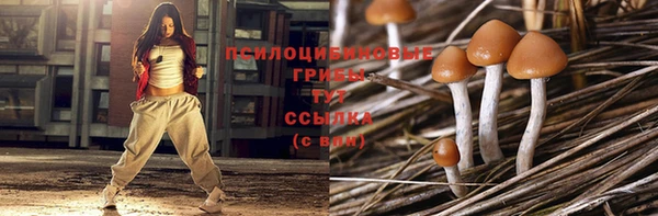 марихуана Каменногорск