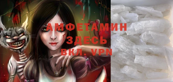 молекула духа Каменка