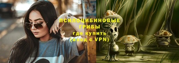 мдпв Иннополис