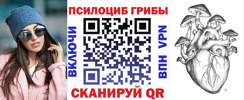 закладки Каменск-Шахтинский Галлюциногенные грибы мухоморы