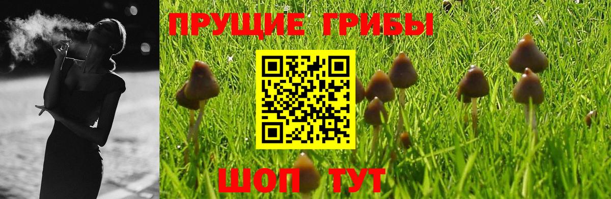 Каменск-Шахтинский  Псилоцибиновые грибы Magic Shrooms  Вход с VPN 