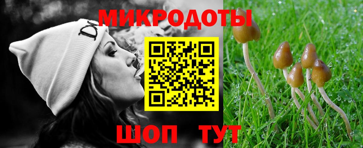 Псилоцибиновые грибы прущие грибы Каменск-Шахтинский
